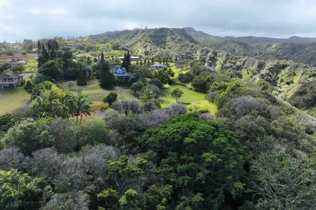 Listing Image for 90 Hakuhee Way 22 of 50