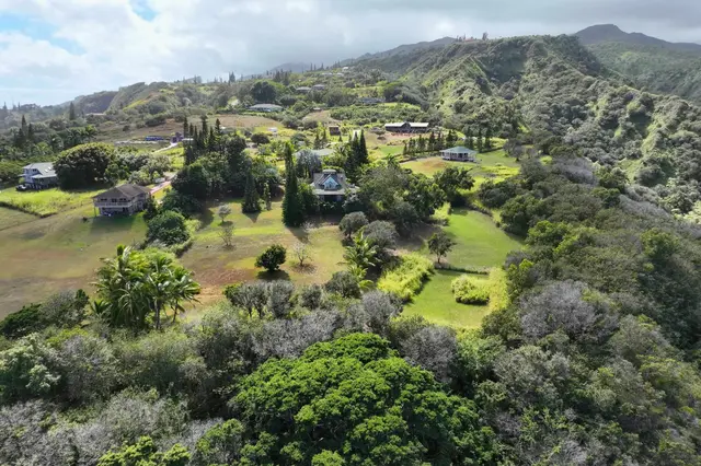 Listing Image for 90 Hakuhee Way 25 of 50
