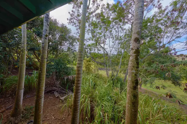 Listing Image for 90 Hakuhee Way 41 of 50
