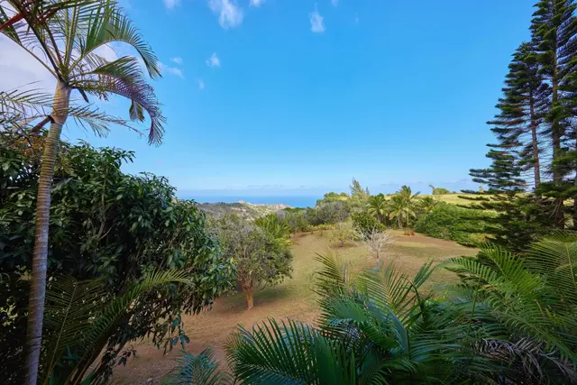 Listing Image for 90 Hakuhee Way 45 of 50