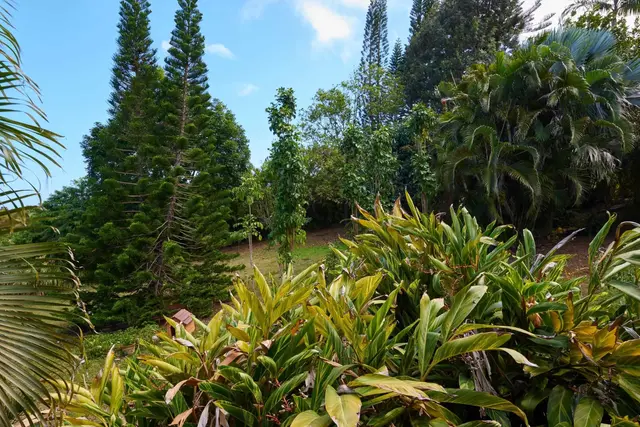 Listing Image for 90 Hakuhee Way 48 of 50