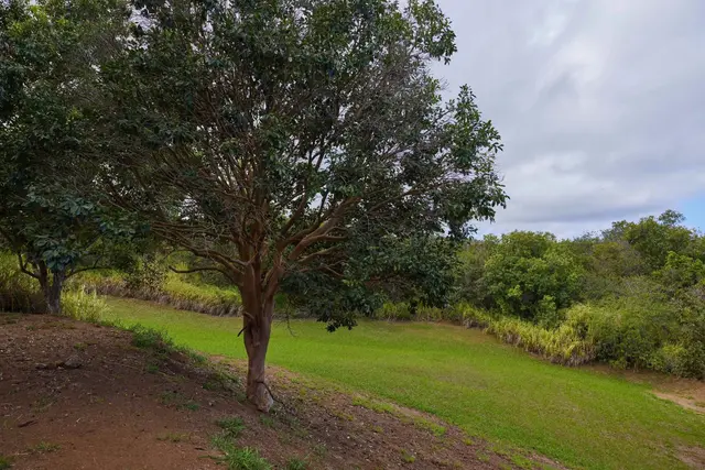 Listing Image for 90 Hakuhee Way 49 of 50