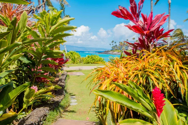 Listing Image for 4310 Lower Honoapiilani Rd 302 39 of 50