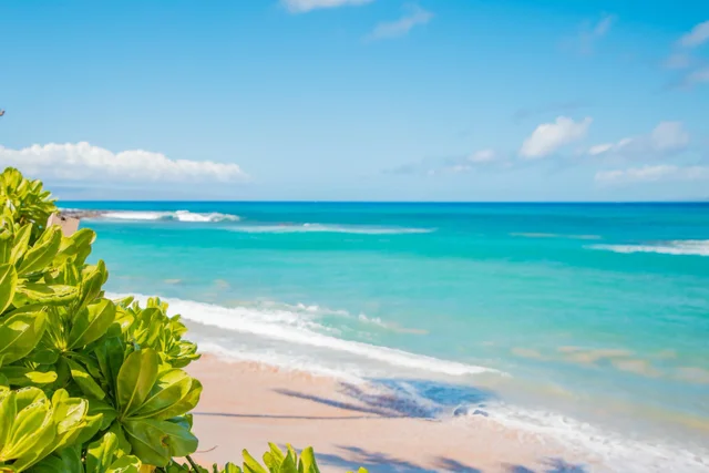 Listing Image for 4310 Lower Honoapiilani Rd 302 4 of 50