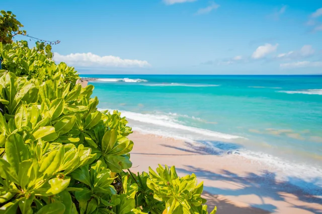 Listing Image for 4310 Lower Honoapiilani Rd 302 40 of 50