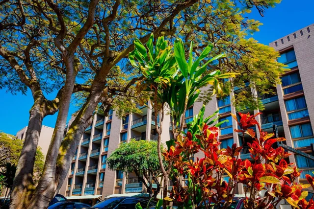 Listing Image for 4310 Lower Honoapiilani Rd 302 46 of 50