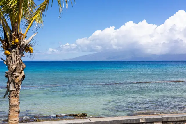 Listing Image for 3741 Lower Honoapiilani Rd 207 3 of 27