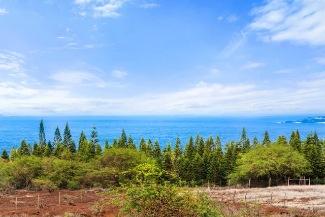 Listing Image for 3820 Kalua Koi Rd 24 of 46