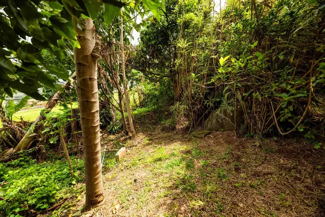 Listing Image for 401 Palani Pl 29 of 40