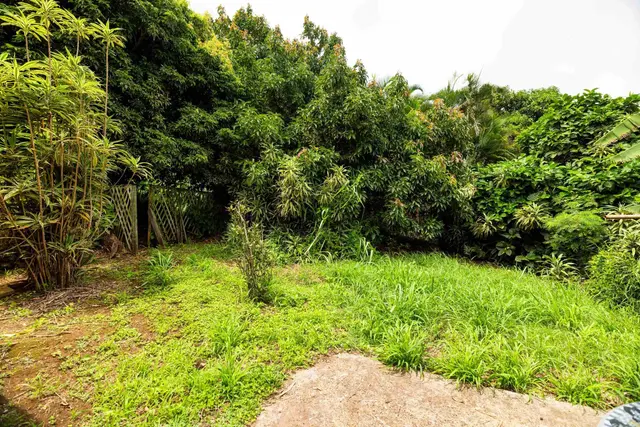 Listing Image for 401 Palani Pl 31 of 40