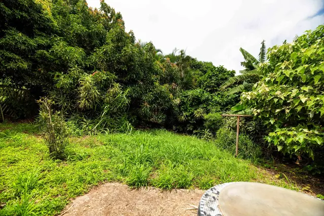 Listing Image for 401 Palani Pl 32 of 40