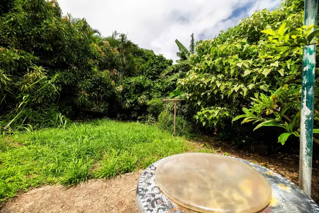 Listing Image for 401 Palani Pl 37 of 40
