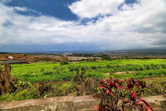 Listing Image for 401 Palani Pl 4 of 40