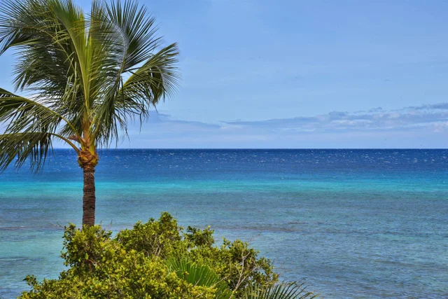 Listing Image for 3875 Lower Honoapiilani Rd B-306 37 of 50