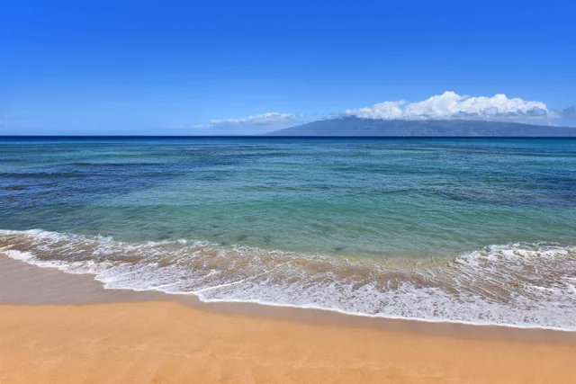 Listing Image for 3875 Lower Honoapiilani Rd B-306 42 of 50