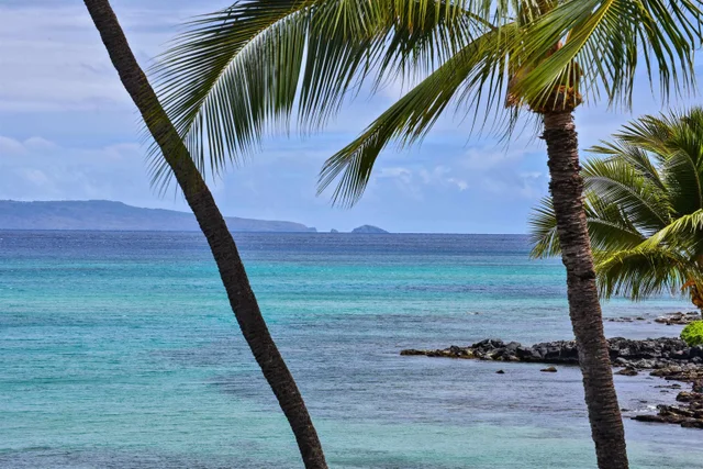 Listing Image for 3875 Lower Honoapiilani Rd B-306 47 of 50