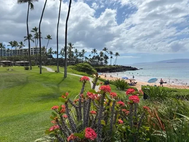 Listing Image for 3600 Wailea Alanui Dr 2010 2 of 50