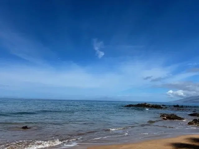 Listing Image for 3600 Wailea Alanui Dr 2010 41 of 50