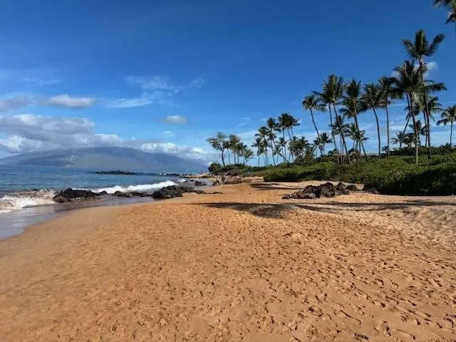 Listing Image for 3600 Wailea Alanui Dr 2010 42 of 50