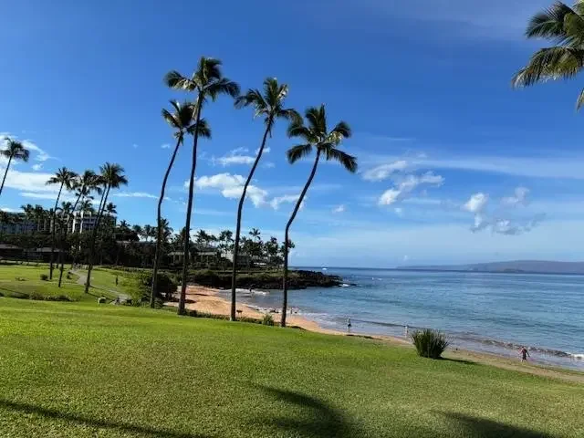 Listing Image for 3600 Wailea Alanui Dr 2010 43 of 50