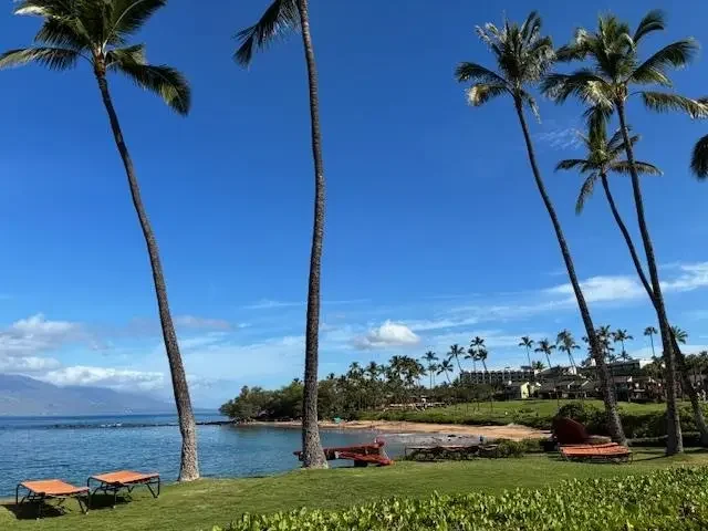 Listing Image for 3600 Wailea Alanui Dr 2010 48 of 50