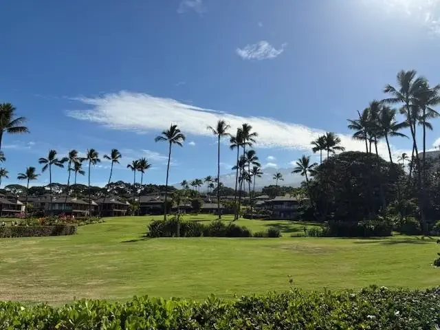 Listing Image for 3600 Wailea Alanui Dr 2010 49 of 50