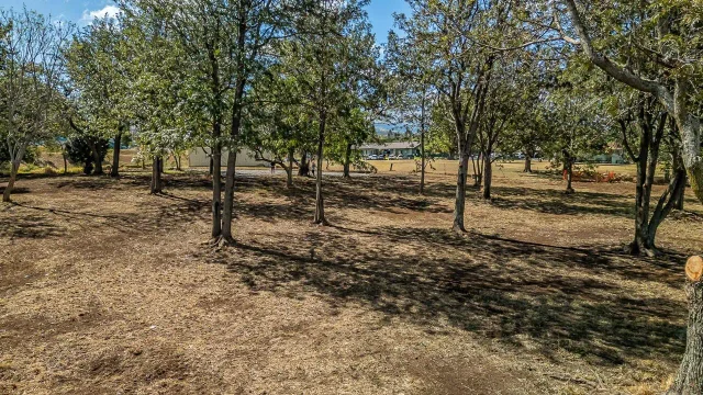 Listing Image for 26 Kula Hwy Unit B 25 of 32