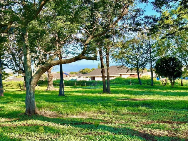 Listing Image for 26 Kula Hwy Unit B 8 of 32