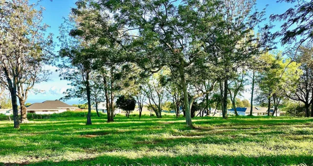 Listing Image for 26 Kula Hwy Unit B 9 of 32