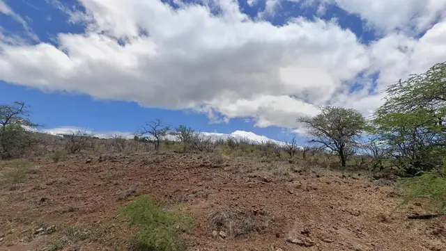 Listing Image for Makaiki Rd 256 6 of 7