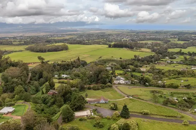 Listing Image for 1310 Olinda Rd 46 of 46