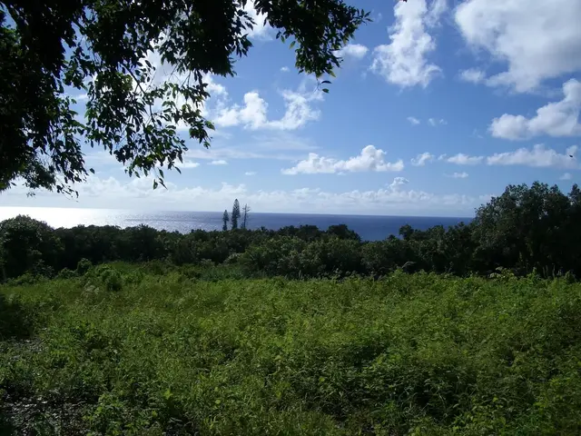 Listing Image for 6870 Hana Hwy Lot 3 4 of 9