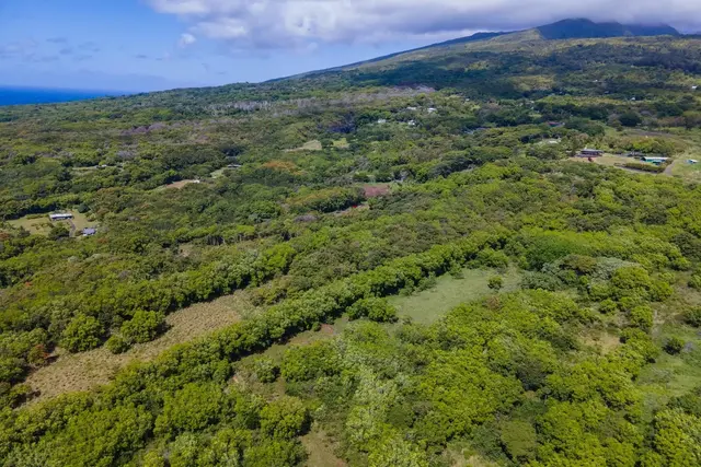 Listing Image for 6870 Hana Hwy Lot 3 7 of 9