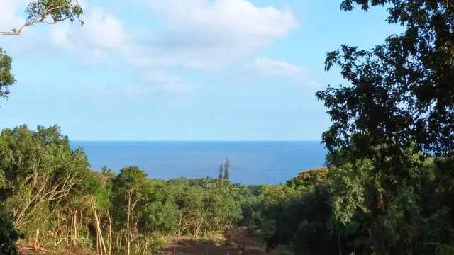 Listing Image for 6870 Hana Hwy Lot 3 8 of 9