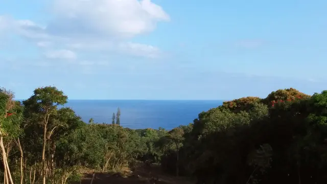 Listing Image for 6870 Hana Hwy Lot 3 9 of 9