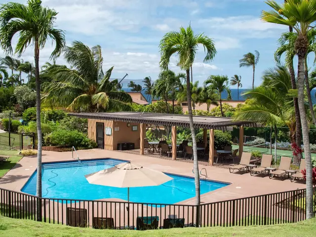 Listing Image for 3300 Wailea Alanui Dr 24b 31 of 41