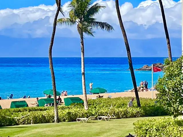 Whaler 214 Z - 2481 Kaanapali Pkwy 214 Z, Kaanapali, 402479 - 2/43