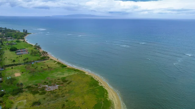 Listing Image for 15 Kulanihakoi St 6d 23 of 27