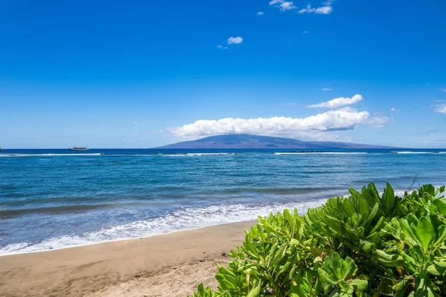 Listing Image for 475 Front St 620 34 of 42