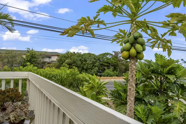 Listing Image for 155 Auhana Rd A 19 of 21