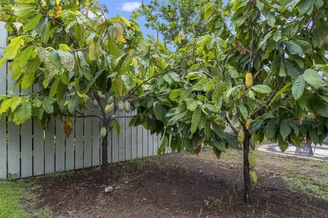 Listing Image for 155 Auhana Rd A 21 of 21