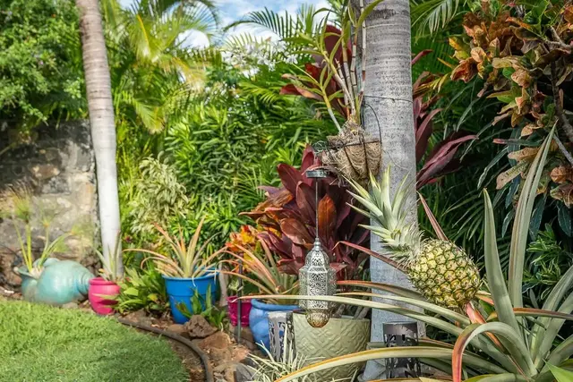 Listing Image for 203 Kuli Puu St 5 of 47