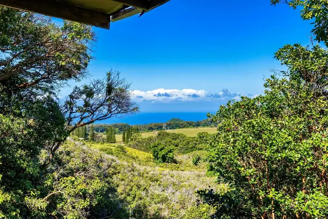 Listing Image for 575 Awalau Rd 5 of 50