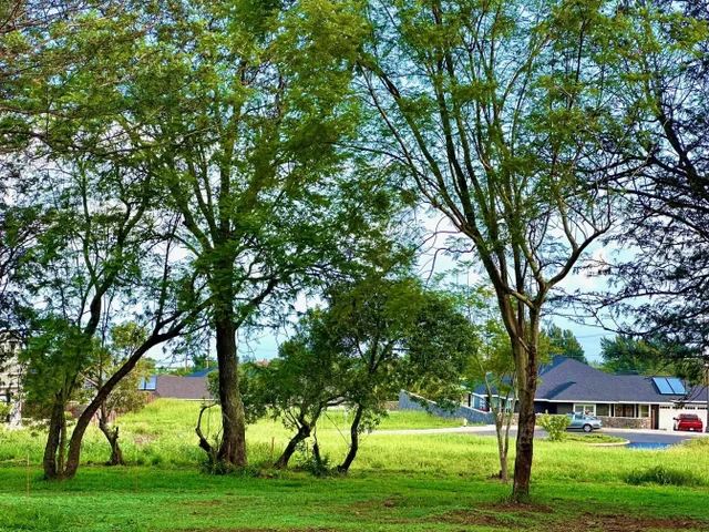 Listing Image for 26 Kula Hwy Unit C 13 of 35