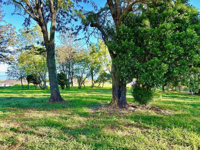 Listing Image for 26 Kula Hwy Unit C 8 of 35