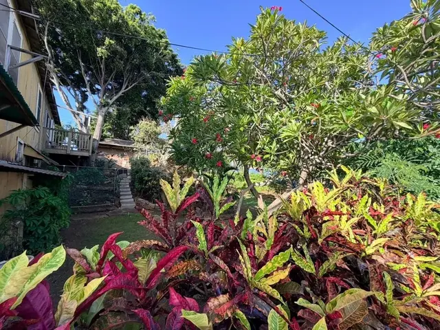Listing Image for 50 Baldwin Ave 4 of 6