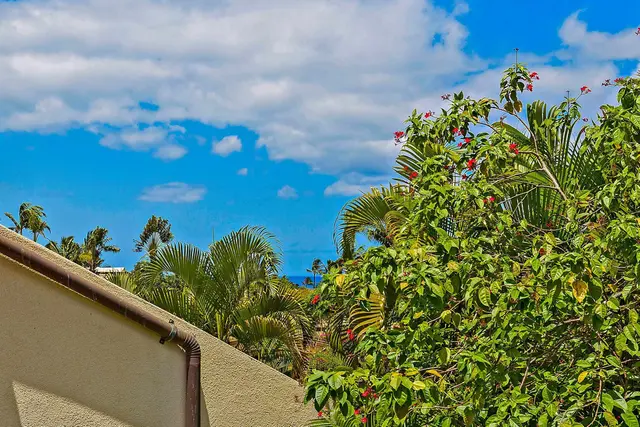 Listing Image for 2777 S Kihei Rd F209 35 of 35