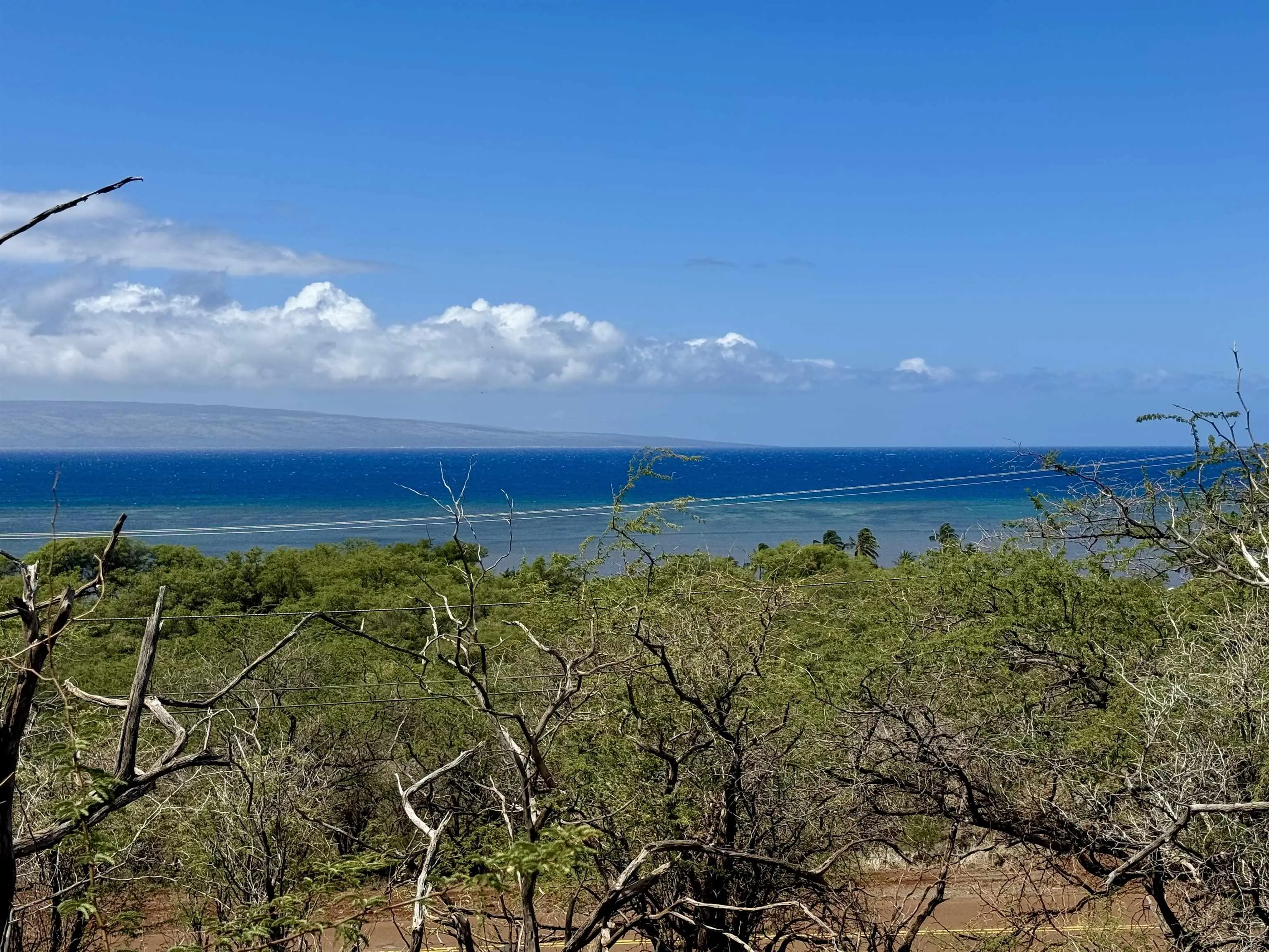 Photo of Listing #405878