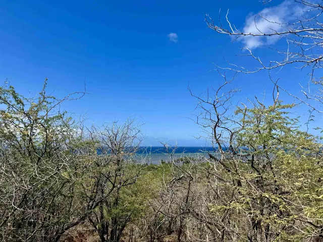Listing Image for 0 Uluanui Rd 147 6 of 25