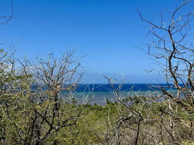 Listing Image for 0 Uluanui Rd 147 8 of 25